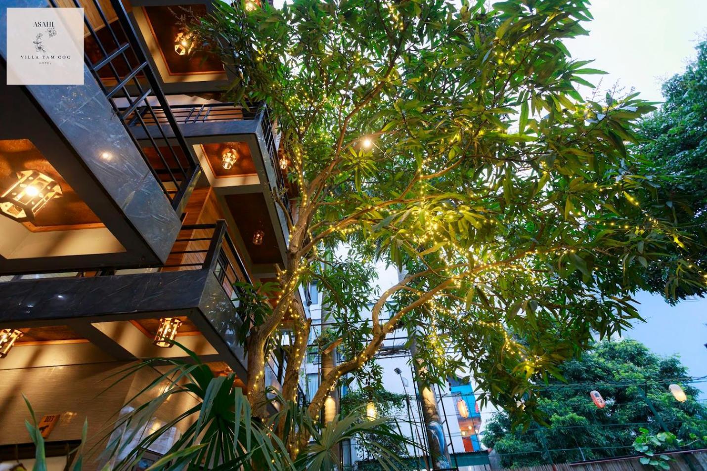 Asahi Villa Tam Coc Ninh Bình Exteriör bild